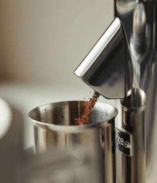 Coffee Grinder, Stainless Steel