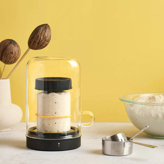 Goldie by Sourhouse™ + Cooling Puck - La Cuisine