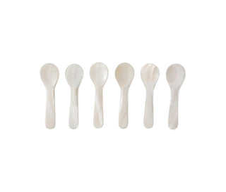 Small Cora Shell Spoons, Set/6