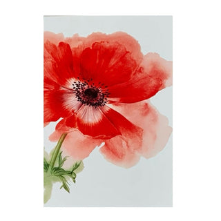 Anemone Sympathy Card - La Cuisine