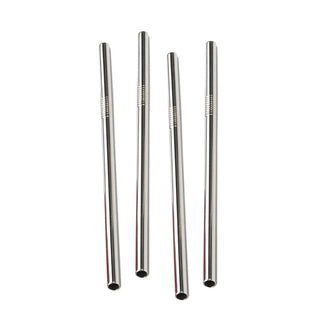 SS Frozen Drink Straws, Set/4 - La Cuisine