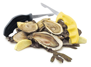Shucker Paddy Original Oyster Knife - La Cuisine