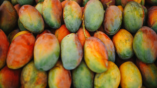 Mango & Shrimp Salad (Goi Tom Xoai)