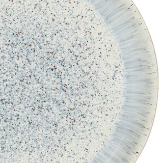 Halo Speckle Dinner Plates, Set/4