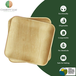 Palm Leaf Square Plate, 10" Inch Pk/50 - La Cuisine
