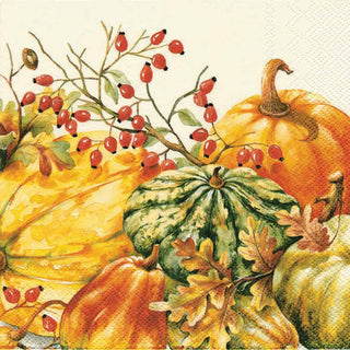 Calabaza Pumpkin Fall Paper Cocktail Napkins Pkg/200 - La Cuisine