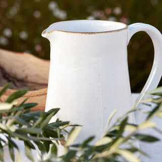 Pitcher Sardegna