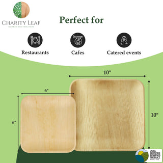 Palm Leaf Square Plate Dinner Set, 10" & 6" Pk/50
