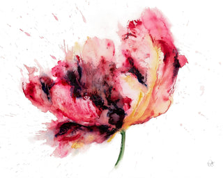 Red Parrot Tulip Watercolor Card – Artistic Floral Spring : Single Card - La Cuisine