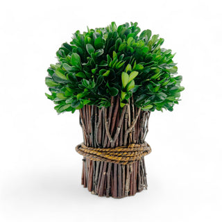 Preserved 10" Boxwood Standing Topiary Plant