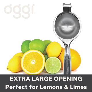 Zinc Alloy Citrus Press - La Cuisine