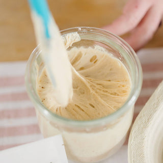 Dehydrated Sourdough Starter - La Cuisine