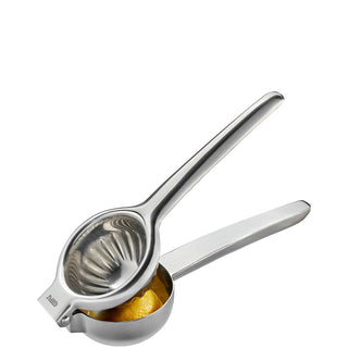 Citrus Press, Stainless Steel