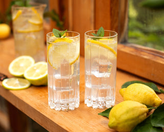 DSG Highball Glass Set/2