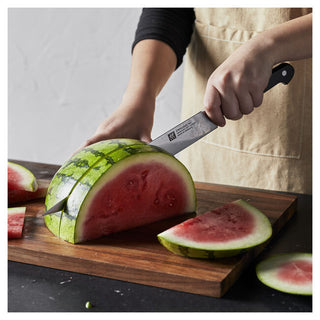 Pro 10" Slicing/Carving Knife