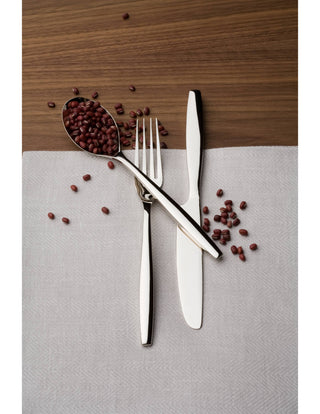 Aidan 45 Pieces Flatware Set