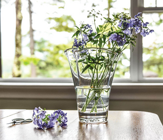 Anemone Vase, Small