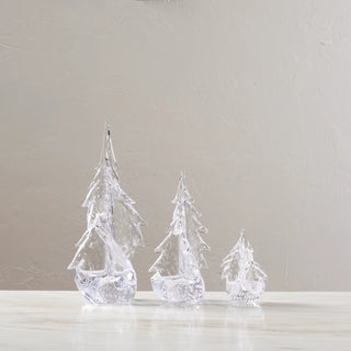 Bubble Twist Evergreen in Gift Box 10"