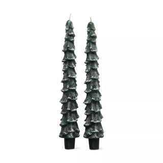 Spruce Taper Candles, Set/2