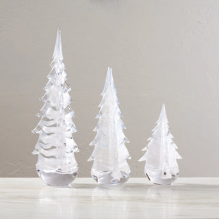 Snowdrift Evergreen, 10"