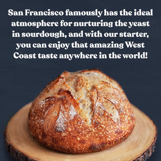 San Francisco Sourdough Starter - La Cuisine