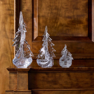 Bubble Twist Evergreen in Gift Box 6"