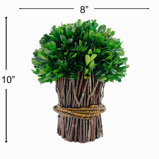 Preserved 10" Boxwood Standing Topiary Plant