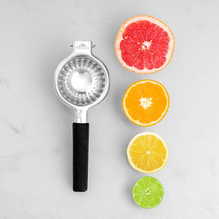 Citrus Juicer, Stainless Steel
