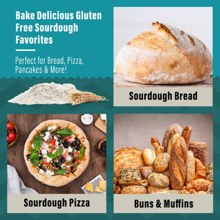 Organic Gluten Free Sourdough Starter