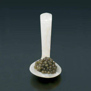 Mother of Pearl Caviar Spoon - CRU Caviar - La Cuisine