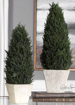 Cypress Tree Topiary, Medium - La Cuisine